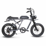 High Performance Rogue Electric Bike - Electriibe