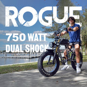 rogue cafe racer e bike 750 watt motor - electriibe